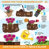 image:imageAltman Plants Bronze Chrysanthemum Plant in 1 Gal Grower Pot Garden Mum Flowering Plants Outdoor Plants Live Mums Real Outdoor Plants Patio or Porch Flowers for Fall Easy Care