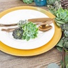 image:imageAltman Plants Specialty Live Succulent Plant 6 Pack No Duplicates Assorted Succulents Featuring Unique Colors amp Shapes 2 in Pots50PACK