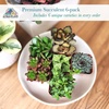 image:imageAltman Plants Specialty Live Succulent Plant 6 Pack No Duplicates Assorted Succulents Featuring Unique Colors amp Shapes 2 in Pots6PACK