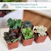 image:imageAltman Plants Specialty Live Succulent Plant 6 Pack No Duplicates Assorted Succulents Featuring Unique Colors amp Shapes 2 in Pots6PACK