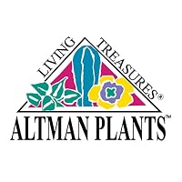 Altman Plants Succulents & Houseplants Store